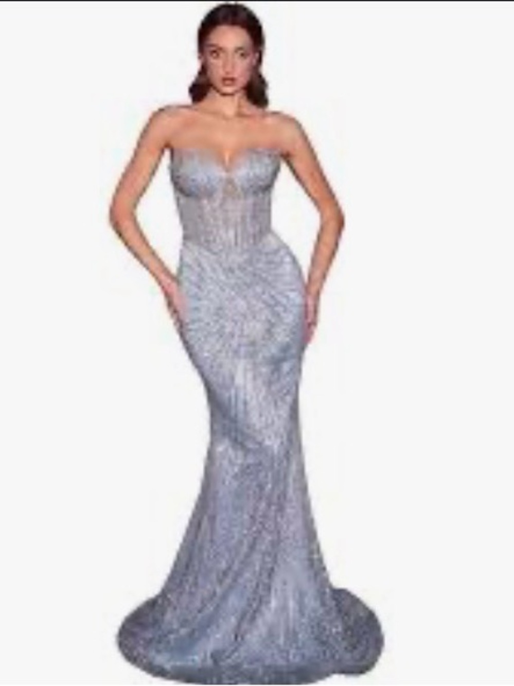 Strapless Silver Sequin Mermaid Evening Gown